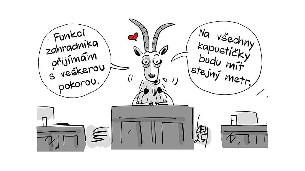 KEMEL: Koza rozhoduje